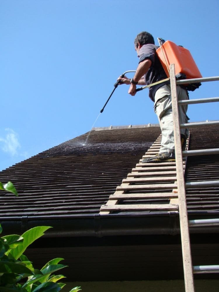 Toiture avant et après nettoyage 60